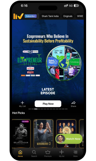 On-Demand Video Streaming Platform Sony Liv